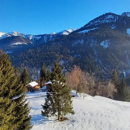 Melinda Ebnit Daire *