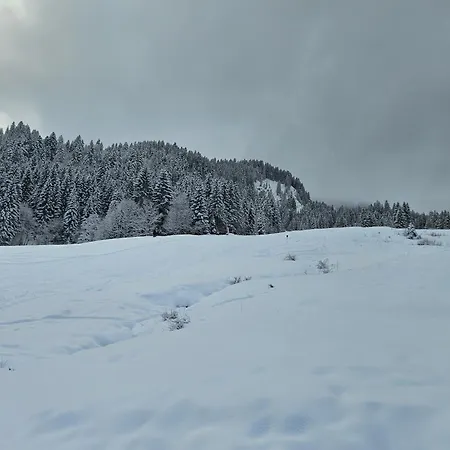Melinda Ebnit * Dornbirn