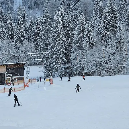 Apartmán Melinda Ebnit Dornbirn